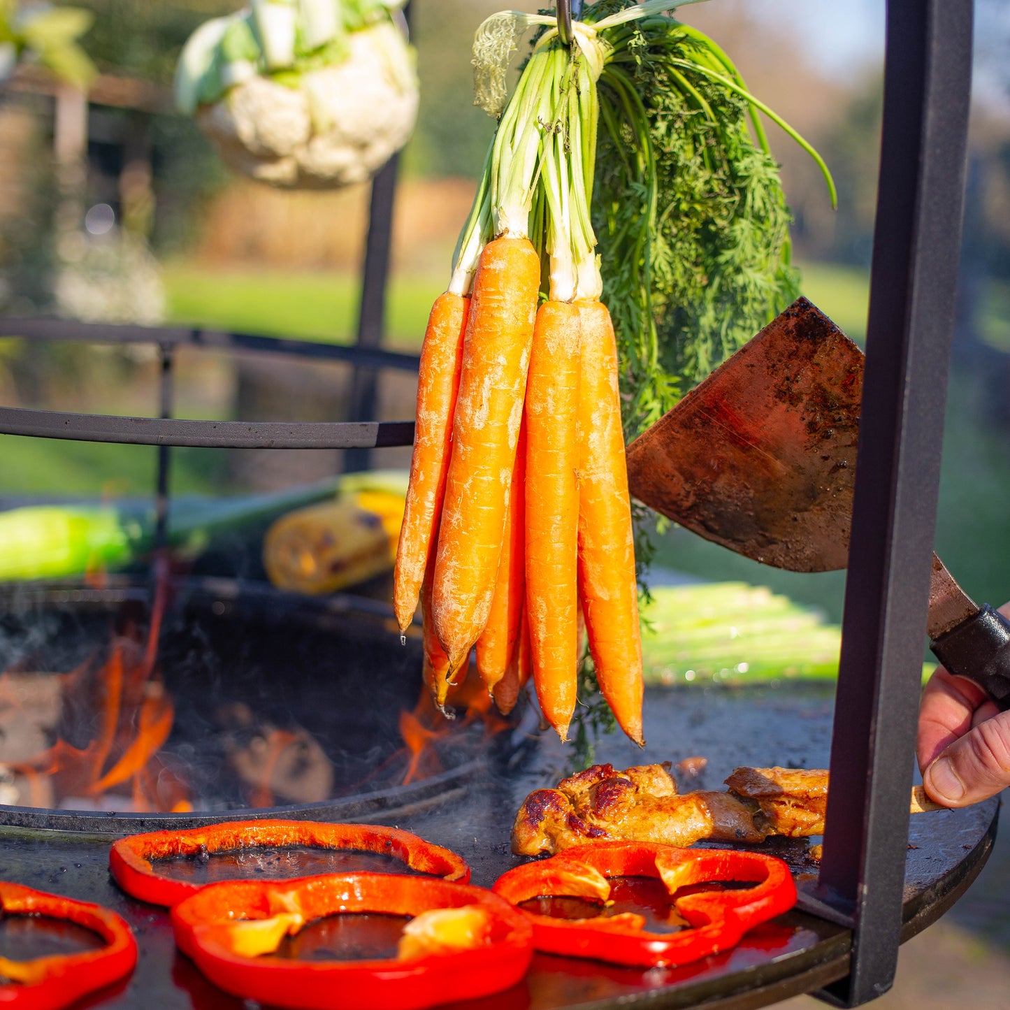 Griglia per barbecue Plancha Cage 80 cm Ø